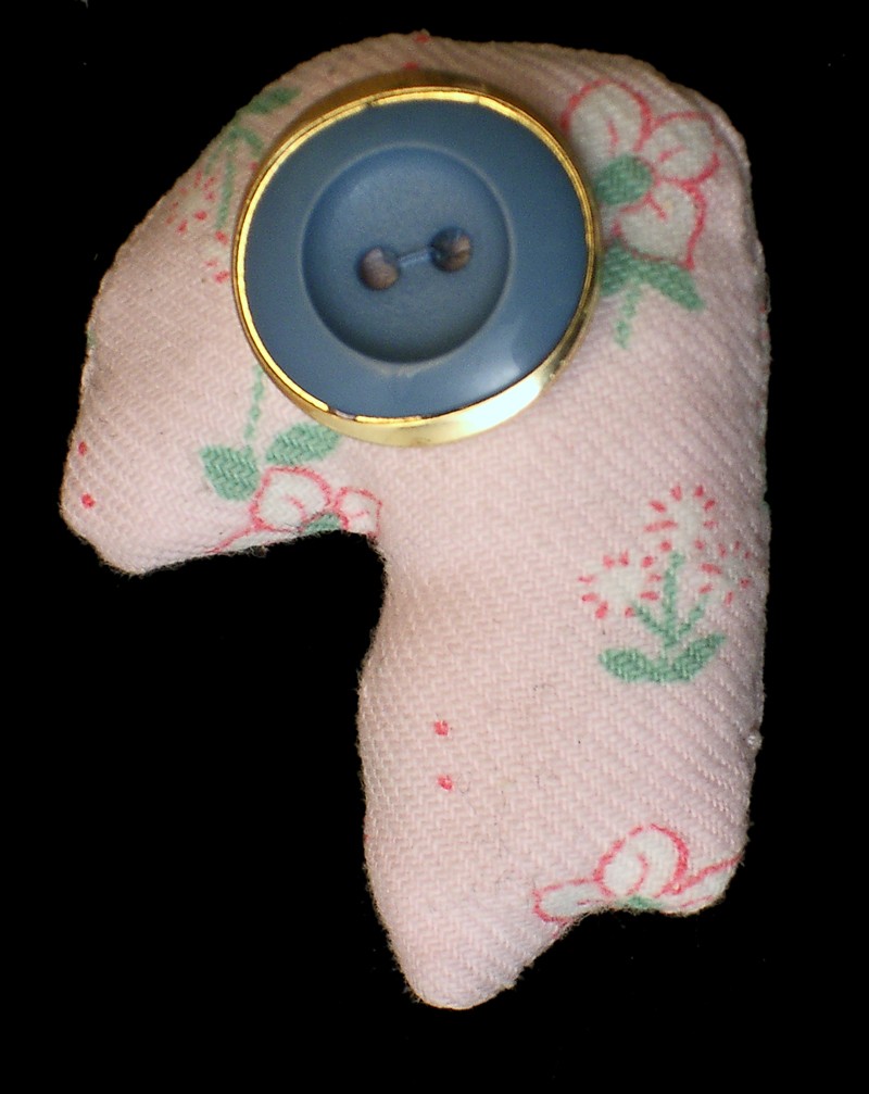 pamela b. buttoneye