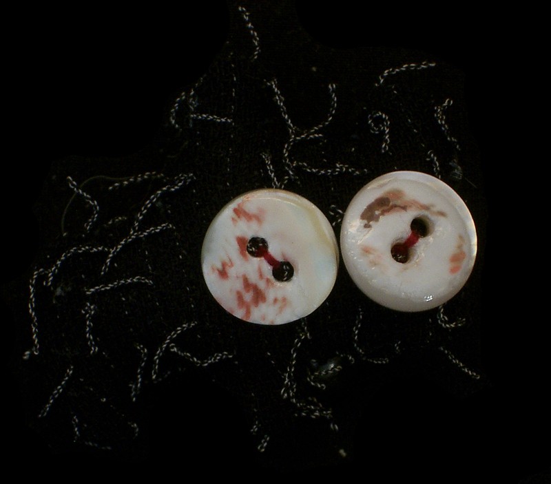 mona b. buttoneye