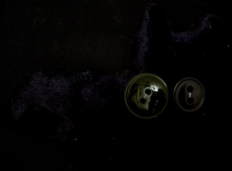 aidan b. buttoneye