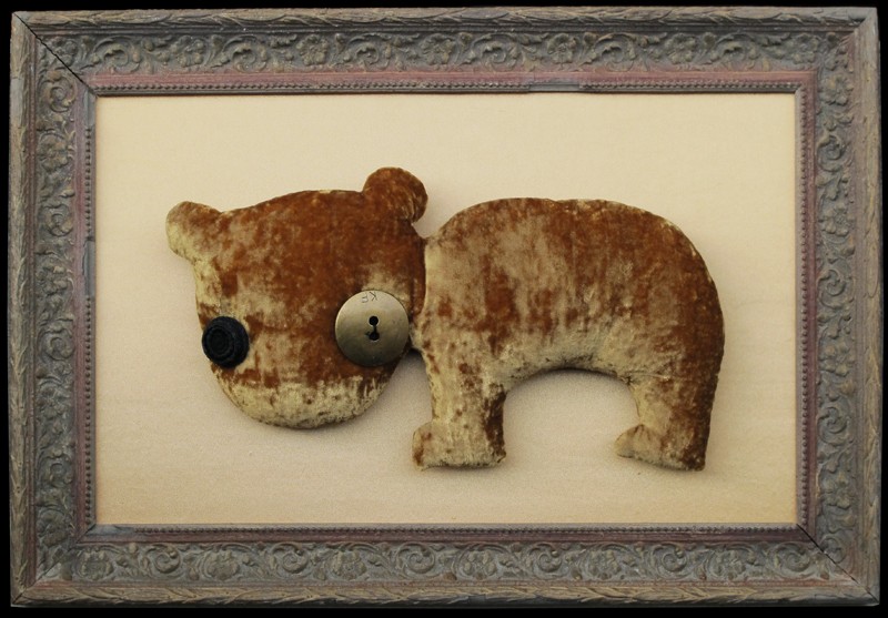 ursus buttoneye