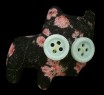 ginette b. buttoneye