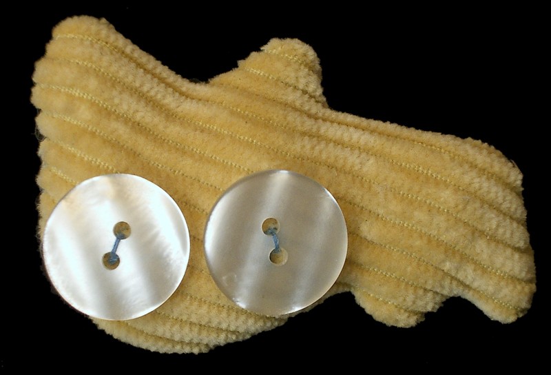 selma b. buttoneye