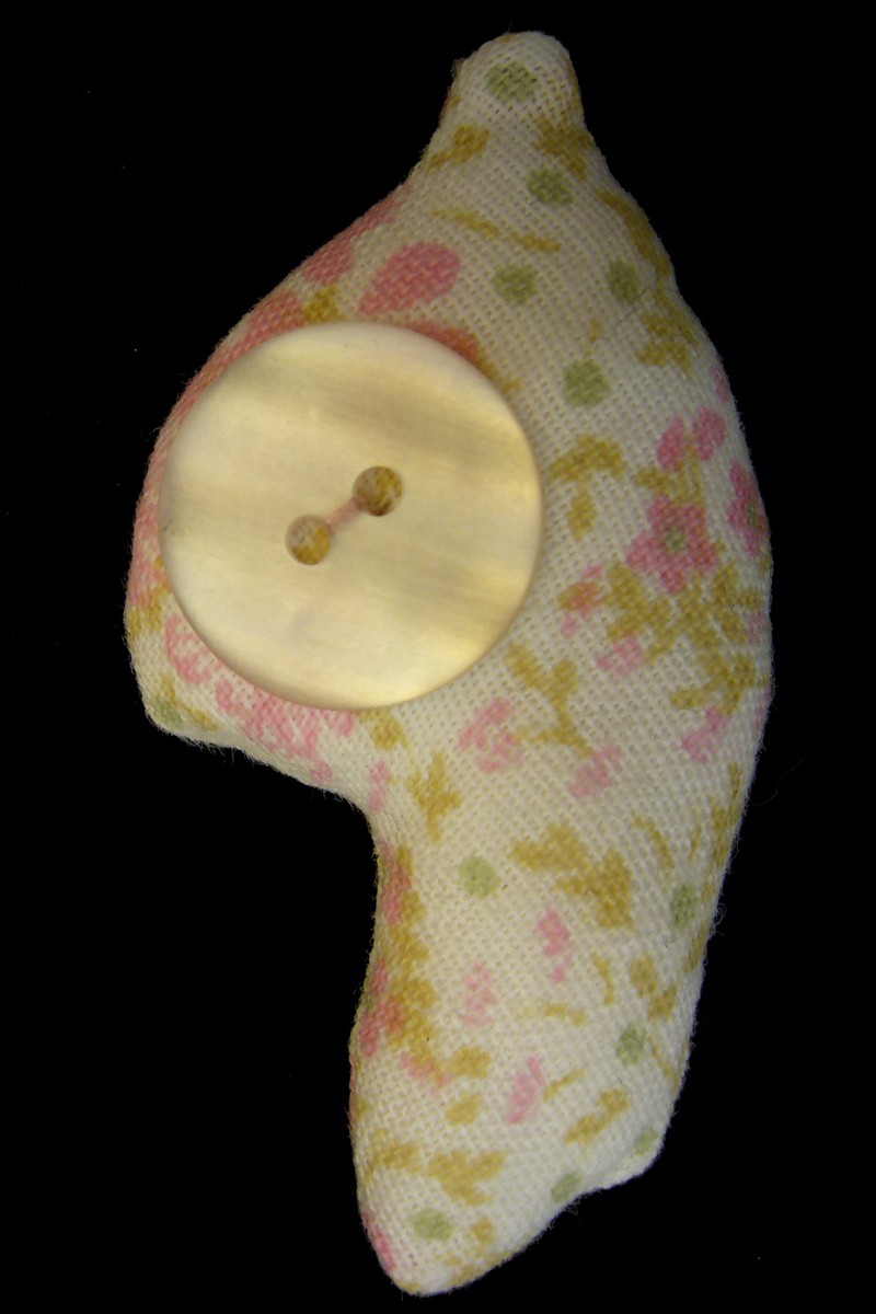 asta b. buttoneye