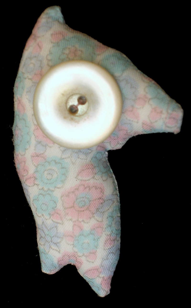 heidrun b. buttoneye