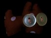esra b. buttoneye