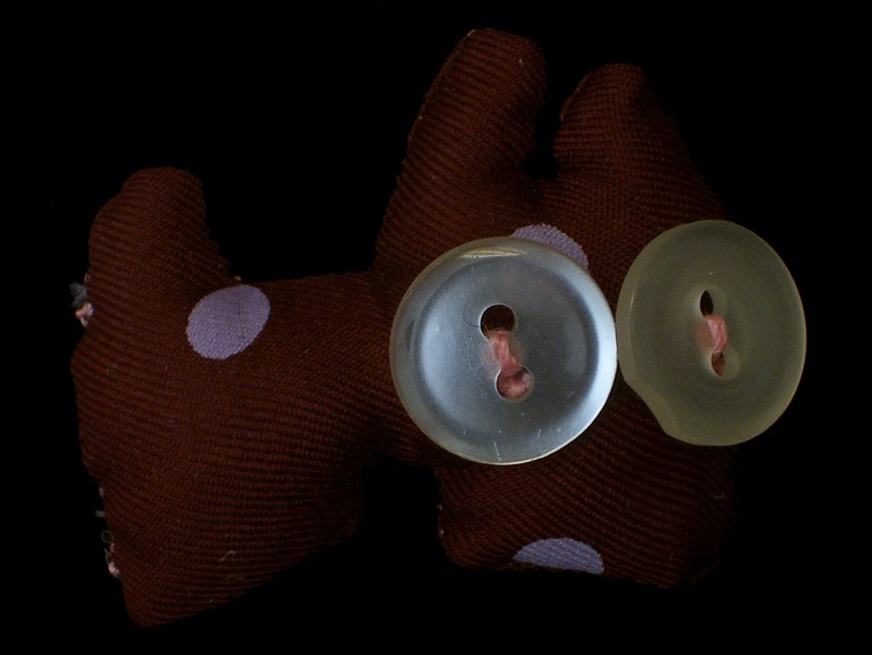 esra b. buttoneye