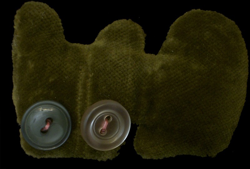 flavius b. buttoneye