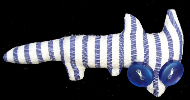 steve b. buttoneye