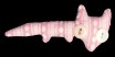 domitilla b. buttoneye