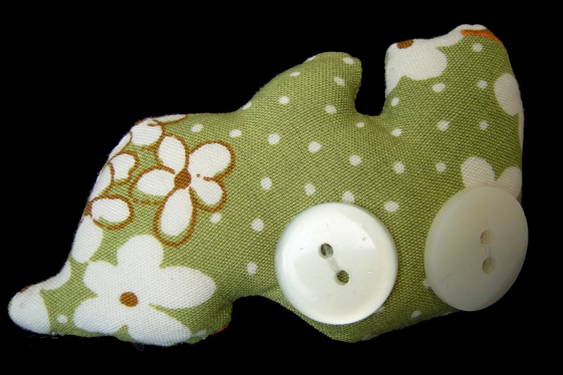 pina b. buttoneye