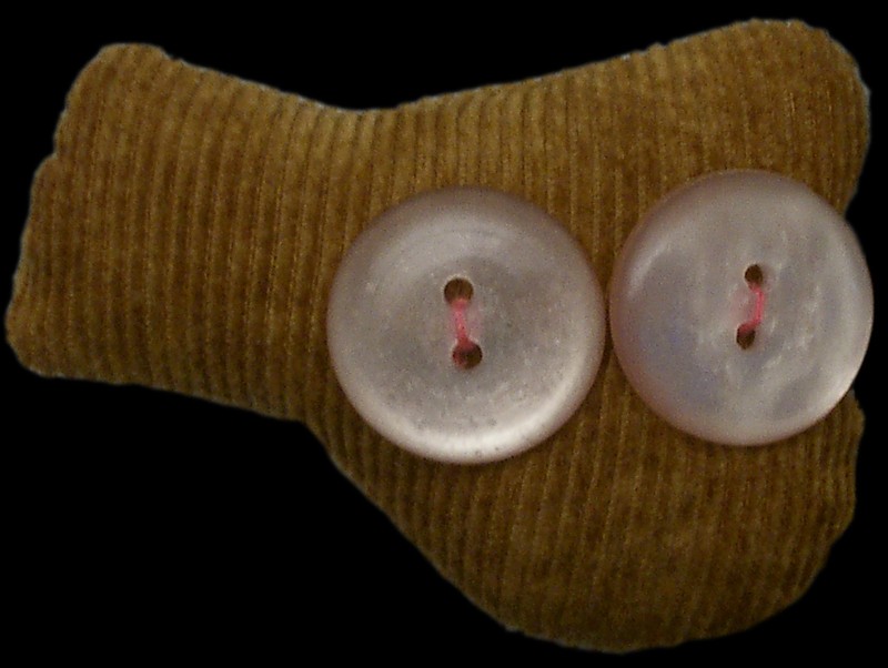 judith b. buttoneye