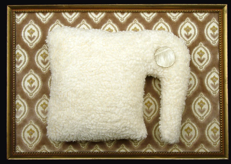 albertin buttoneye