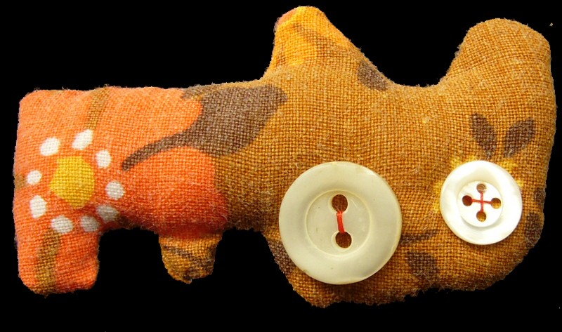 jodie b. buttoneye