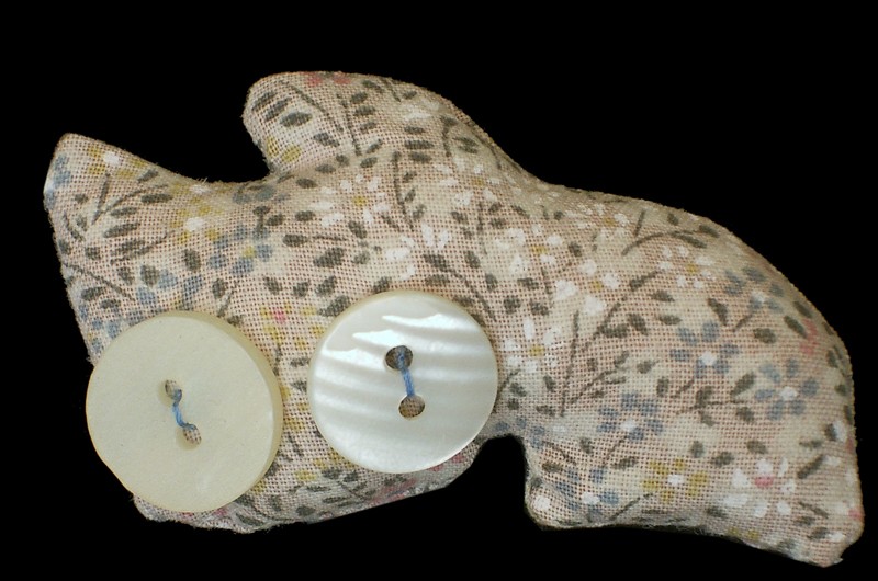 dianah b. buttoneye