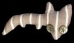 barbo b. buttoneye